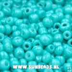 Rocailles 3mm (turquoise)