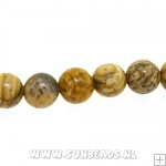 Halfedelsteen rond 4mm (picture jasper)