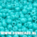 Rocailles 3mm (turquoise)