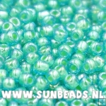 Rocailles 3mm (zeegroen)