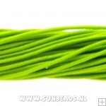 Elastiek gekleurd 1mm (appelgroen)