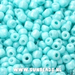 Rocailles 3mm (mint)