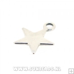 Metalen hanger ster