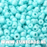 Rocailles 3mm (mint)