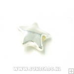 Metalen kraal groot gat ster (zilver)