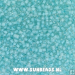Rocailles 2mm (transparant met lichtblauw)
