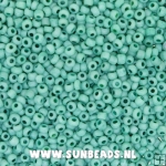 Rocailles 2mm (zeegroen)