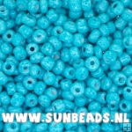 Rocailles 3mm (turquoise)